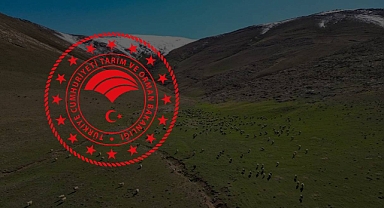 Mera Yönetmeliği değişti