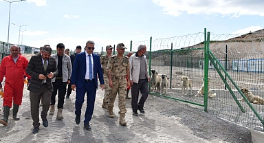 Ardahan Valisi sokak hayvanları barınağını inceledi