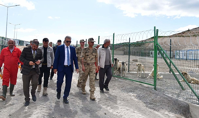 Ardahan Valisi sokak hayvanları barınağını inceledi