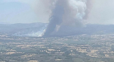 Çanakkale Ezine'de çıkan yangın hakkında Valilik açıklama yaptı