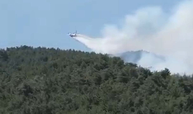 İletişim Başkanlığı orman yangınlarında son durumu paylaştı