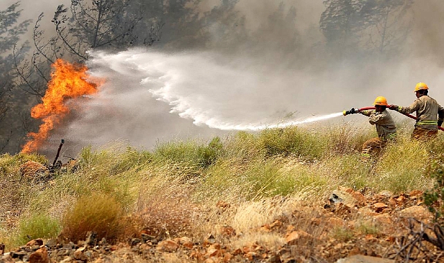 Kurban Bayramı Öncesi Orman Yangını Uyarısı
