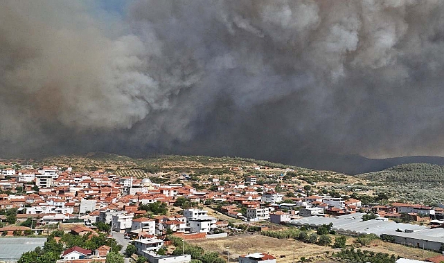 Manisa Akhisar'daki orman yangını hakkında Valilik son dakika açıklamada bulundu