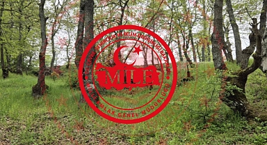 Milli Emlak Duyurdu: Balıkesir’de Arsa Fırsatı! 1.150 m² Arsa 222 Bin TL...