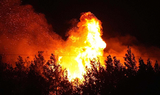 Orman kararı duyuruldu: Bu 47 ilde ormanlara giriş yasaklandı