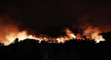 Sakarya'daki orman yangını Bilecik'e sıçradı