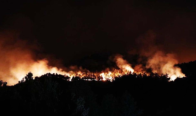 Sakarya'daki orman yangını Bilecik'e sıçradı