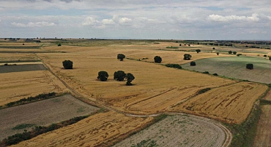 3 ilde arazi toplulaştırma işlemi