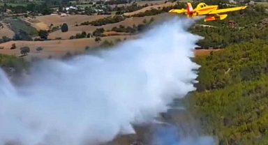 Orman Yangınları hakkında OGM'den açıklama