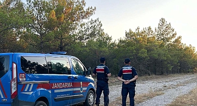 Yalova'da orman yasağı