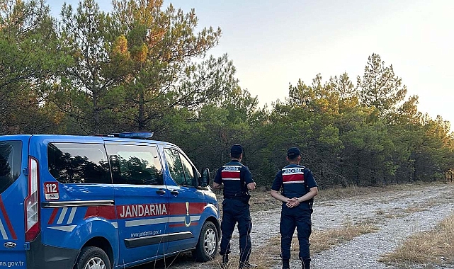 Yalova'da orman yasağı