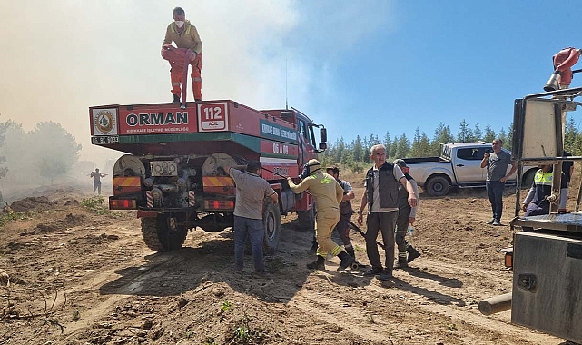 Hafta sonu çıkan 85 yangının çoğu ihmal ve dikkatsizlikten