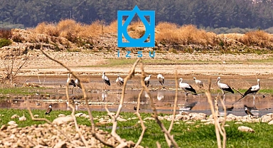 Su Kurulu karar aldı: Milyonların yaşadığı yerlerde her gün 7 saat su kesintisi