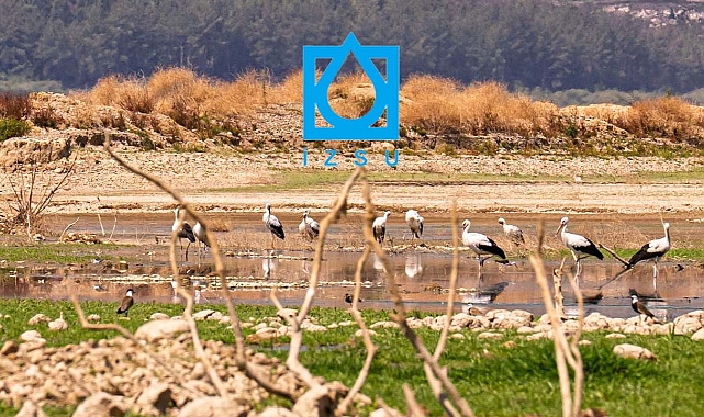 Su Kurulu karar aldı: Milyonların yaşadığı yerlerde her gün 7 saat su kesintisi