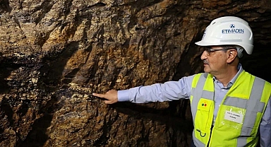 Eski Bakan Dönmez'den Nadir Toprak Elementleri açıklaması