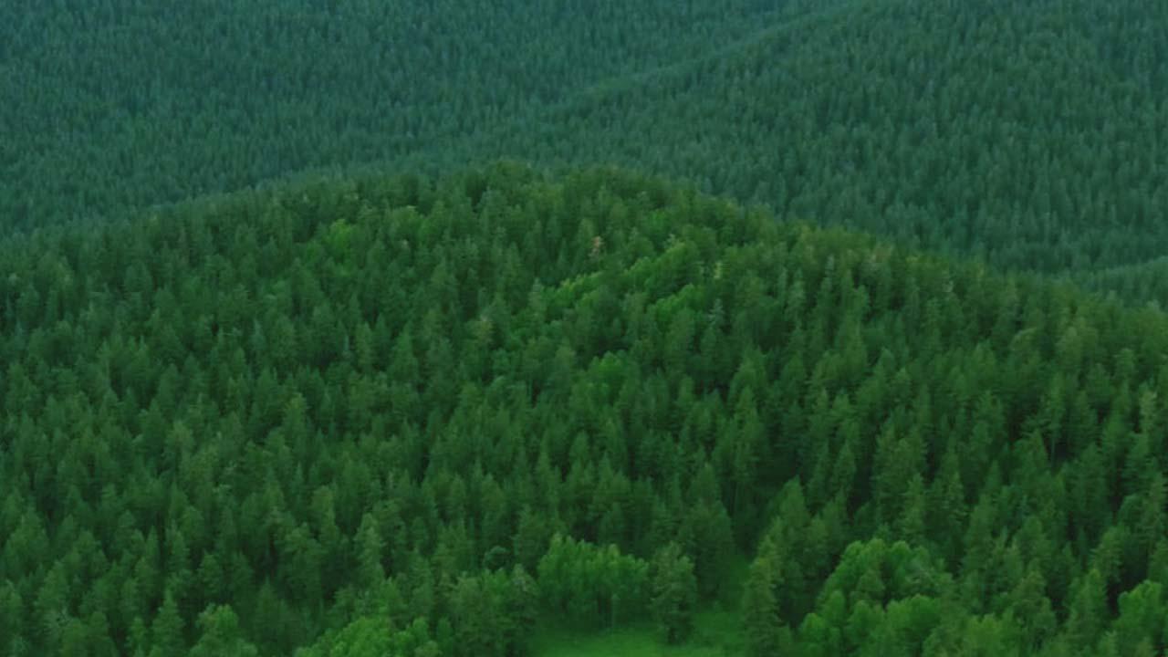 2026 Çevre Kanunu para cezaları belli oldu