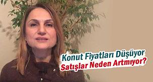 Konut fiyatları düşerken konut satışları neden artmıyor?